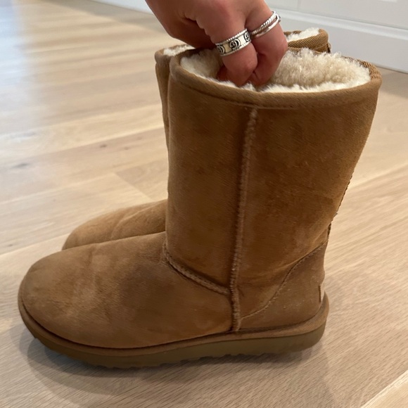UGG Short - Chestnut, gently used - 8 - Picture 5 of 5